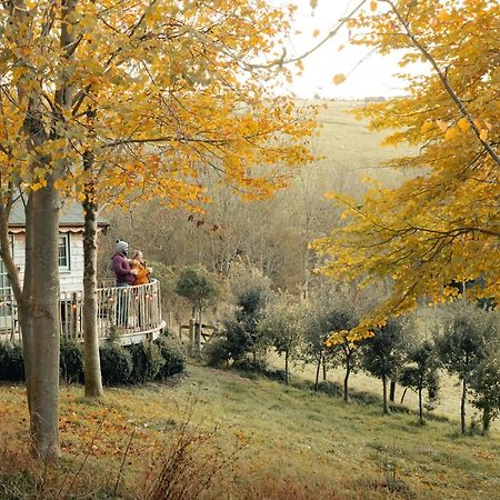 Cottage Orne Long Bredy Экстерьер фото